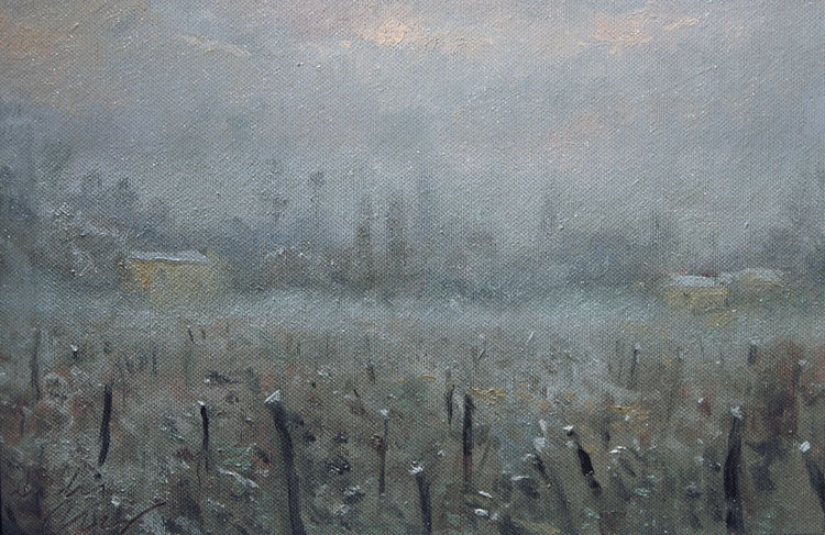 Nebbia Pianura