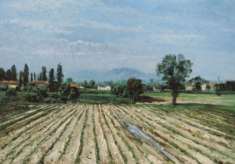 Colli euganei