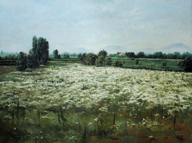 Colli Euganei