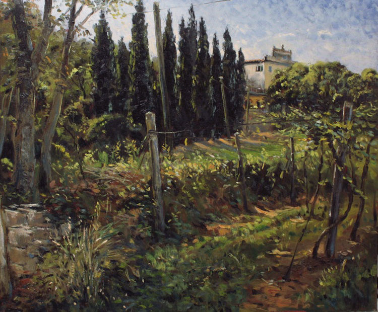 Cipressi a Montorio